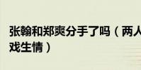 張翰和鄭爽分手了嗎(兩人因合作流星雨而因戲生情)