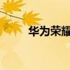 華為榮耀3C定制軟件可以刪除嗎？