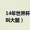 14年世界杯范佩西魚躍龍門（為什么范佩西叫大腿）