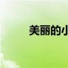美麗的小興安嶺描繪了什么風景？