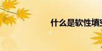 什么是軟性填空?