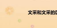 文采和文采的區別