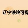 遼寧鐵嶺可提供三星手機維修服務地址在哪