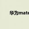 華為mate30售價公布（華為Mate）