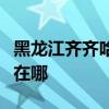 黑龍江齊齊哈爾可提供三星手機維修服務地址在哪