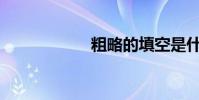 粗略的填空是什么?
