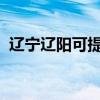 遼寧遼陽可提供中興手機維修服務地址在哪