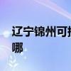 遼寧錦州可提供realme手機維修服務地址在哪