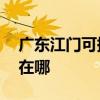 廣東江門可提供AOC平板電視維修服務地址在哪
