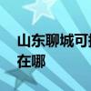 山東聊城可提供AOC平板電視維修服務地址在哪