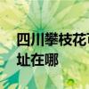 四川攀枝花可提供AOC平板電視維修服務地址在哪