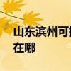 山東濱州可提供AOC平板電視維修服務地址在哪