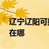 遼寧遼陽可提供AOC平板電視維修服務地址在哪