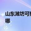 山東濰坊可提供realme手機維修服務地址在哪