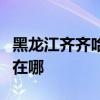 黑龍江齊齊哈爾可提供中興手機維修服務地址在哪
