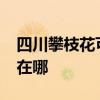 四川攀枝花可提供realme手機維修服務地址在哪