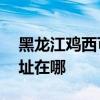 黑龍江雞西可提供AOC平板電視維修服務地址在哪