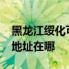 黑龍江綏化可提供realme平板電視維修服務地址在哪