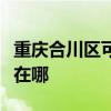 重慶合川區可提供統帥平板電視維修服務地址在哪