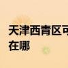 天津西青區可提供統帥平板電視維修服務地址在哪
