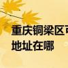 重慶銅梁區可提供realme平板電視維修服務地址在哪