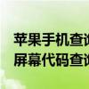 蘋果手機查詢屏幕代碼（iPhone13怎么查詢屏幕代碼查詢）