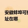 安徽蚌埠可提供realme平板電視維修服務地址在哪