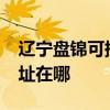 遼寧盤錦可提供realme平板電視維修服務地址在哪