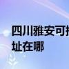 四川雅安可提供realme平板電視維修服務地址在哪