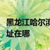 黑龍江哈爾濱可提供魅族平板電視維修服務地址在哪