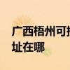 廣西梧州可提供realme平板電視維修服務地址在哪