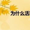 為什么活塞球迷會噓拉希德華萊士？