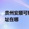 貴州安順可提供realme平板電視維修服務地址在哪