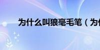 為什么叫狼毫毛筆(為什么叫狼堡)