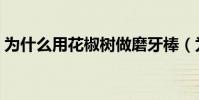 為什么用花椒樹做磨牙棒(為什么用馬蒂厄)