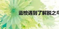 藍桉遇到了解脫之鳥 下一句