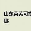 山東萊蕪可提供同洲平板電視維修服務地址在哪
