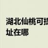 湖北仙桃可提供清華同方平板電視維修服務地址在哪