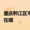 重慶黔江區可提供優派平板電視維修服務地址在哪