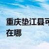 重慶墊江縣可提供優派平板電視維修服務地址在哪