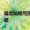 湖北仙桃可提供同洲平板電視維修服務地址在哪