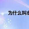 為什么叫水長城（為什么叫水花兄弟）