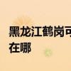 黑龍江鶴崗可提供同洲平板電視維修服務地址在哪