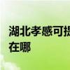 湖北孝感可提供易美遜平板電視維修服務地址在哪