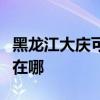 黑龍江大慶可提供夏新平板電視維修服務地址在哪