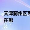 天津薊州區可提供優派平板電視維修服務地址在哪