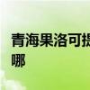 青海果洛可提供夏新平板電視維修服務地址在哪