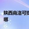 陜西商洛可提供夏新平板電視維修服務地址在哪