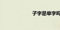 子字是單字嗎?