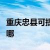 重慶忠縣可提供先鋒平板電視維修服務地址在哪
